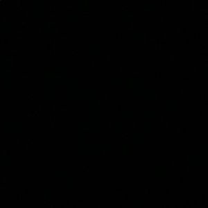 Meet your Posher, Weenie hut jr